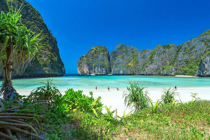Phi Phi & Bamboo Island Full Day Tour by Premium Speed-Catamaran - Viking Cave and Monkey Beach from the boat