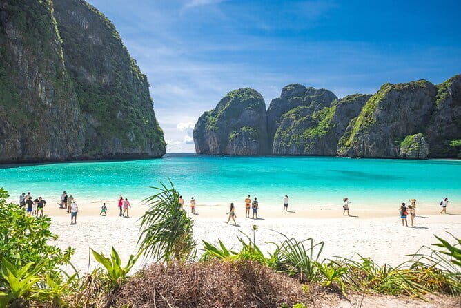 Phi Phi Islands and Khai Island by Premium Speed Catamaran - Monkey Bay offers a short wildlife encounter
