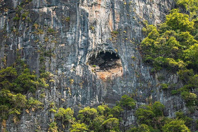 Phi Phi, Maya, Khai and Pileh Day Trip by Speed Catamaran From Phuket - Monkey Beach and Monkey Bay
