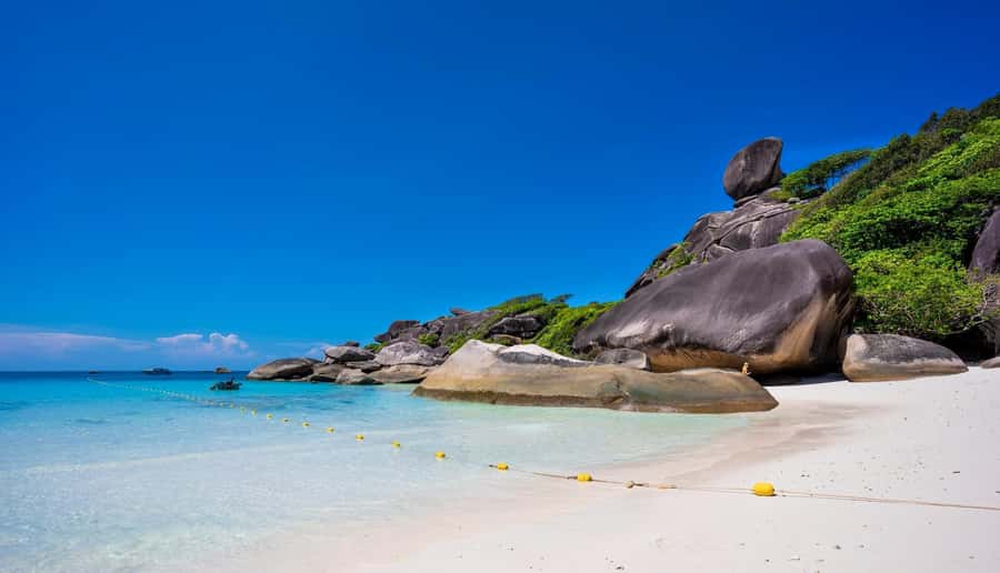 Phuket/Khaolak: Similan Islands Speed Catamaran Premium Trip - Who should book this trip?