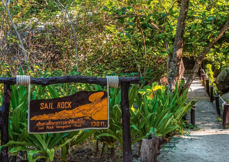 Phuket/Khaolak: Similan Islands Speed Catamaran Premium Trip - Should you book the Similan Islands catamaran trip?