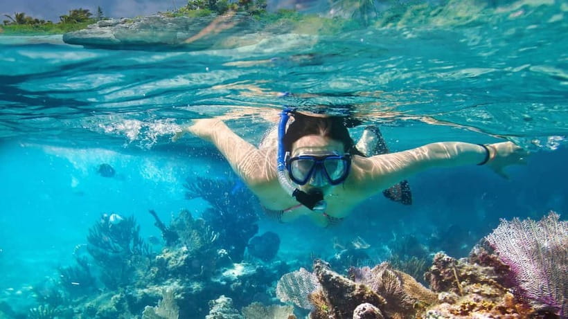 Phuket : Lazy Similan Islands by Catamaran with lunch - Lunch and beach time on Koh Miang