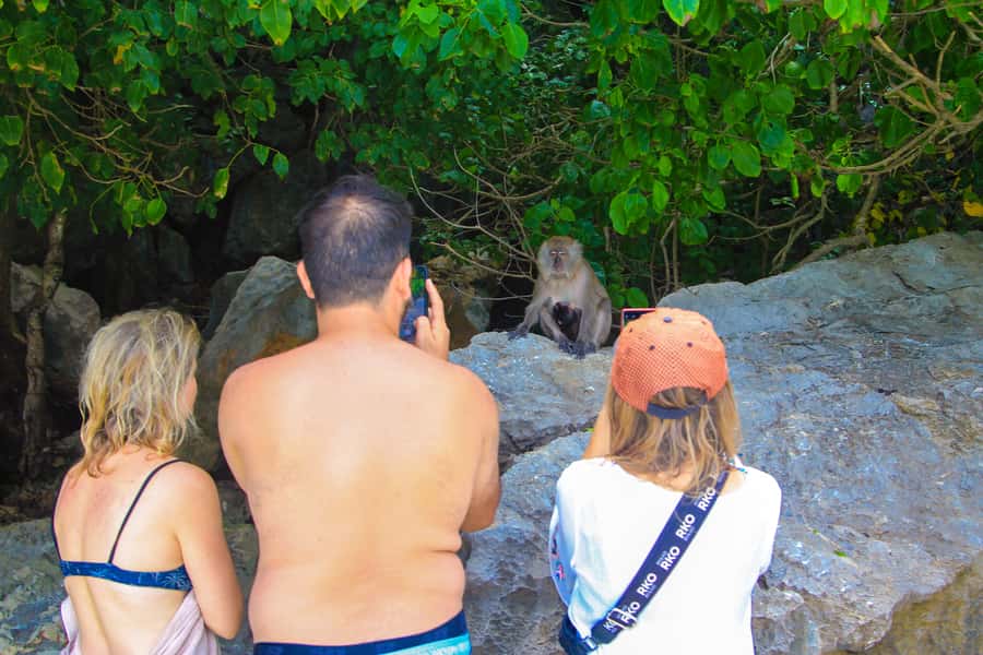 Phuket: Phi Phi Khai or Maiton Island by Speedboat/Catamaran - The return to Phuket