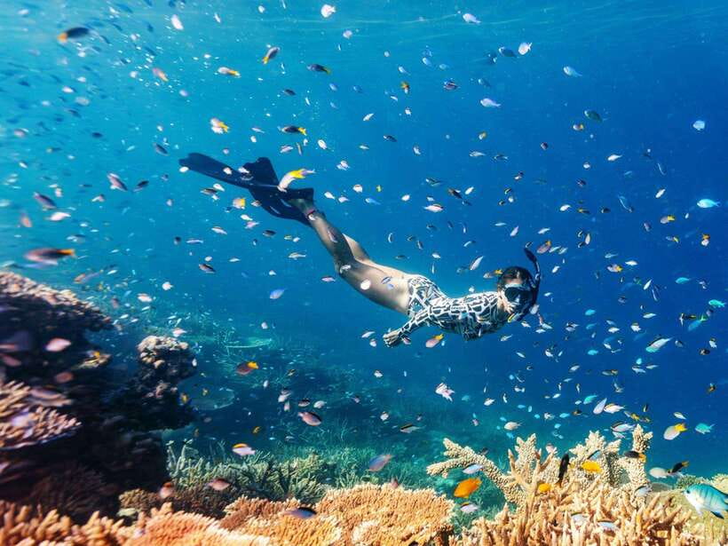 Phuket: Phi Phi, Maya and Khai Or Bamboo Island by Catamaran - From Phuket hotels to Royal Phuket Marina