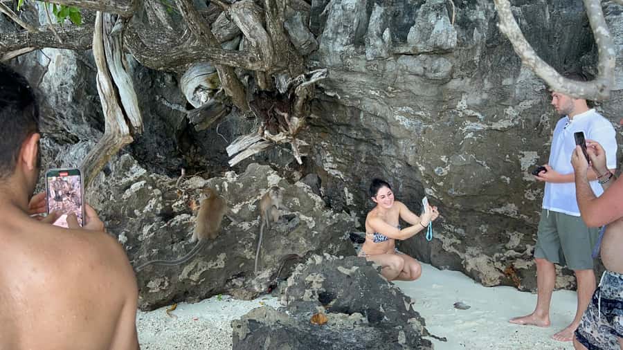 Phuket: Phi Phi Maya Bamboo Island By Speed Catamaran - Monkey Beach: a short look, not a long visit