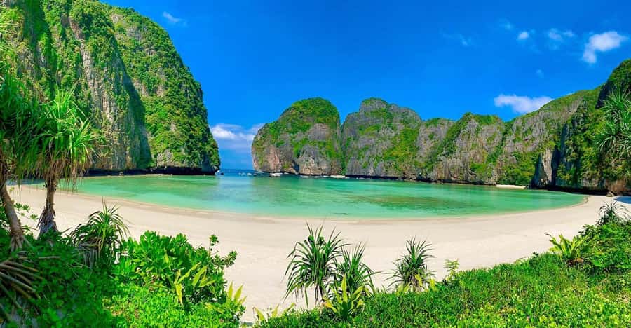 Phuket: Phi Phi, Maya, Koh Khai Day Tour by Speed Catamaran - The early pickup and pier breakfast