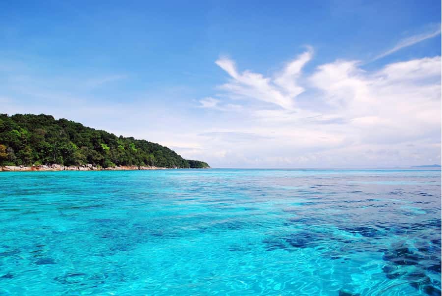 Phuket: Similan Island Day Trip by Speed Boat Catamaran - Island 9 and the coral formations