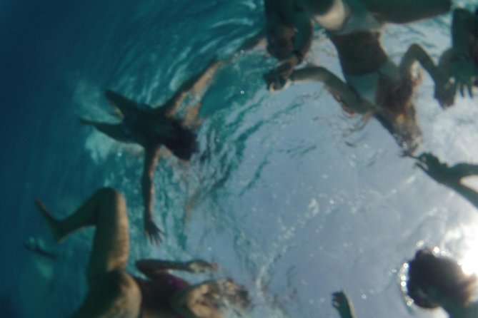 Platja de Migjorn Private Catamaran Full Day Trip - Price and group value at $3,501.15
