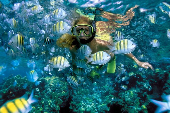Plus Full Day Catamaran Tour to Isla Mujeres All Inclusive - Lunch at the beach club