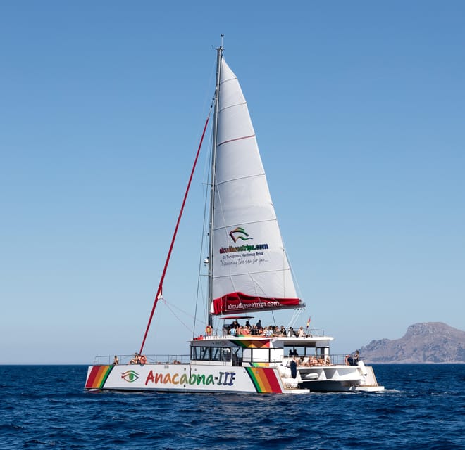 Port d'Alcudia: North Coast Catamaran Cruise with Meal - Who will get the most from this cruise?