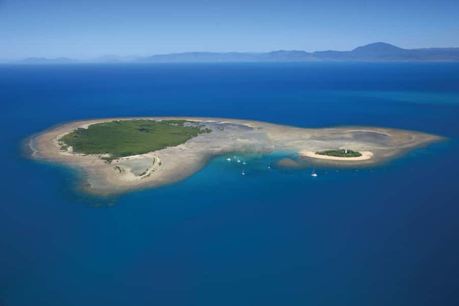 Port Douglas: Low Isles Afternoon Cruise on Luxury Catamaran - Guided snorkeling with a marine naturalist