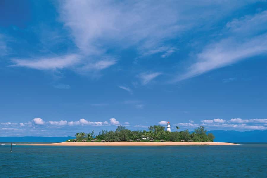 Port Douglas: Low Isles Afternoon Cruise on Luxury Catamaran - Glass-bottom viewing for a no-swim option