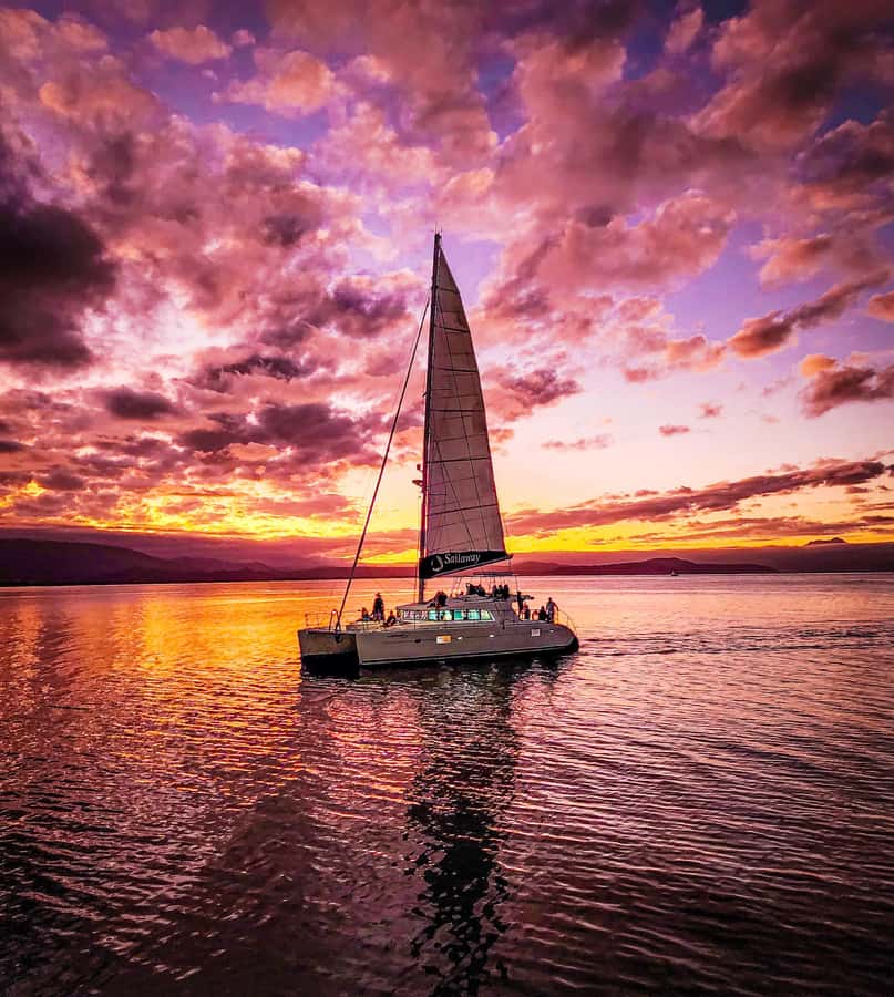 Port Douglas: Low Isles Afternoon Cruise on Luxury Catamaran - The crew and the service style