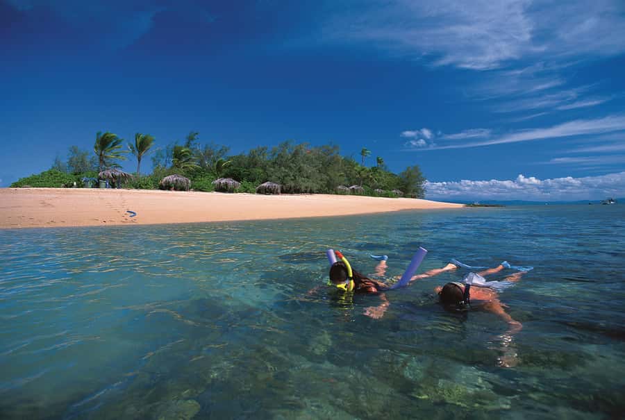 Port Douglas: Reef & Low Isles Cruise on Luxury Catamaran - Why Low Isles Makes This Port Douglas Cruise Different