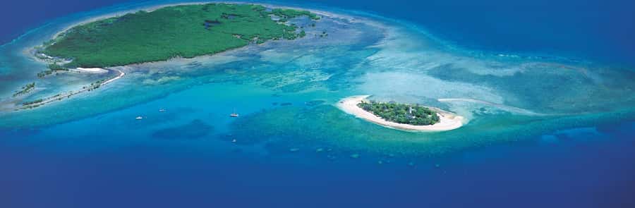 Port Douglas: Reef & Low Isles Cruise on Luxury Catamaran - The Glass-Bottom Boat and Heritage Walk