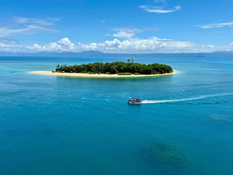 Port Douglas: Reef & Low Isles Cruise on Luxury Catamaran - Lunch, Tea, and the Value of the $240 Price