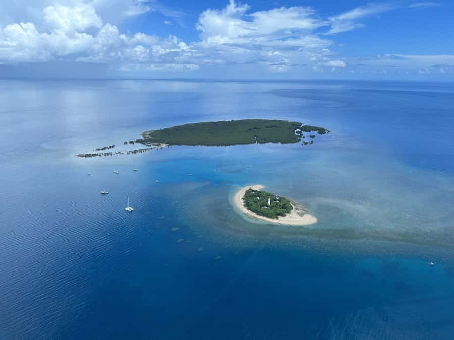 Port Douglas: Reef & Low Isles Cruise on Luxury Catamaran - Sailing Back to Port Douglas
