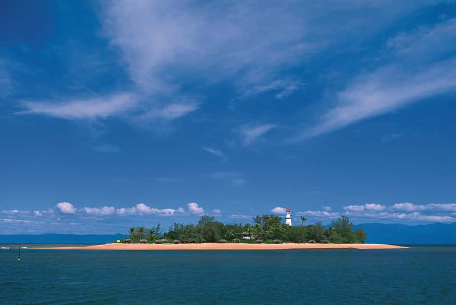 Port Douglas: Reef & Low Isles Cruise on Luxury Catamaran - Who Will Enjoy This Most