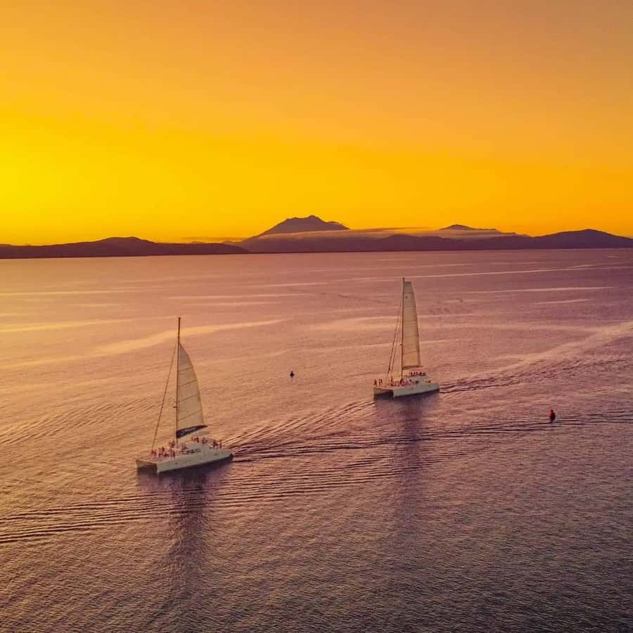 Port Douglas: Sunset Sailing Cruise on Luxury Catamaran - Drinks and canapés on board