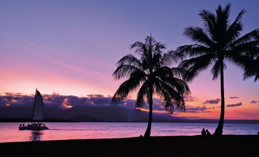 Port Douglas: Sunset Sailing Cruise on Luxury Catamaran - How the price compares at $66