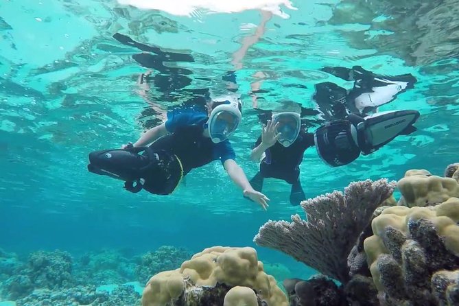Premium Catamaran Afternoon Sail: Snorkeling and Lunch - Malmok Reef and the Shallow Waters of Catalina Bay