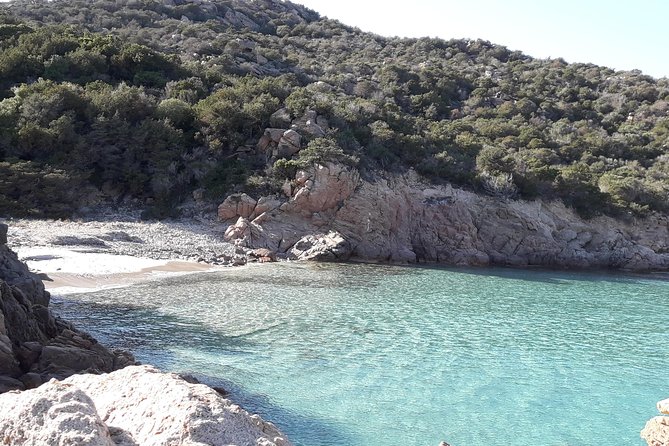 PREMIUM catamaran excursion archipelago of La Maddalena - The crew and the tone aboard