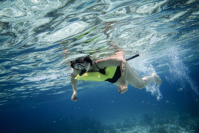 Private 4 hour Catamaran Tour - Starfish Point and the slower side of the day