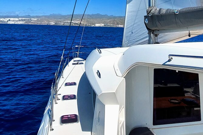 Private 5 hour catamaran cruise in south of Gran Canaria - Unlimited cava, sangria, wine, beer, and soft drinks