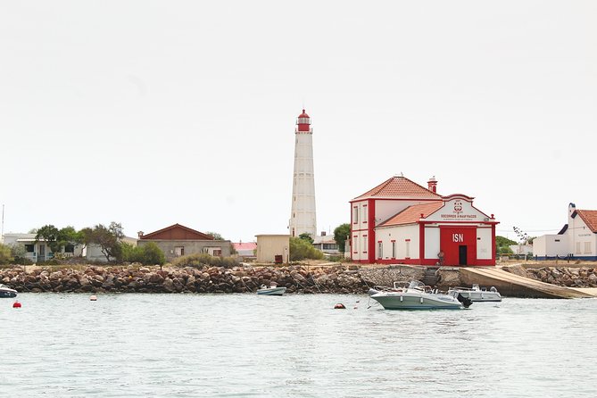 Private Catamaran Boat Tour - Ria Formosa - Who will enjoy this most?