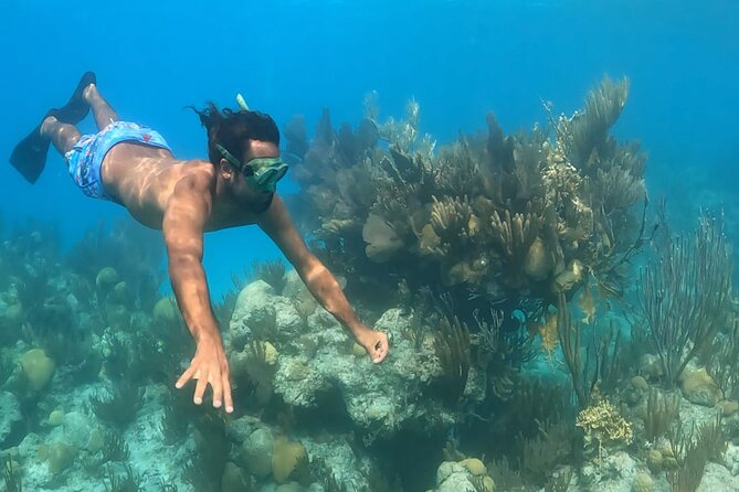 Private Catamaran Charter on Elusive - Cliff jumping, swimming, and slower stops