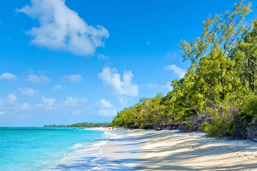 Private Catamaran Charter to Ile aux Cerfs - Lunch near Grand River South East