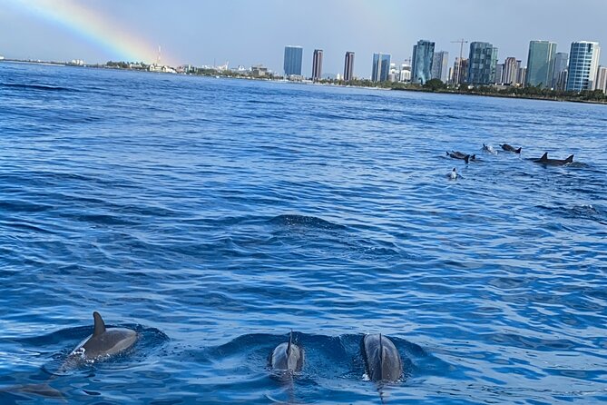 Private Catamaran Cruise and Snorkeling Tour in Honolulu - A private boat changes the mood