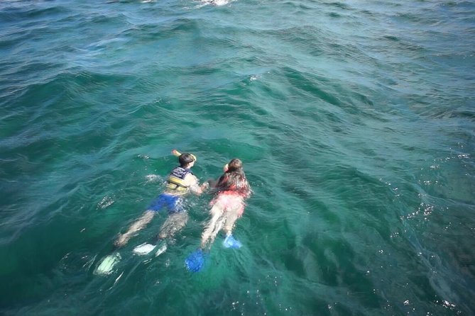Private Catamaran Experience from Cancun to Isla Mujeres! - Why the private catamaran changes the experience
