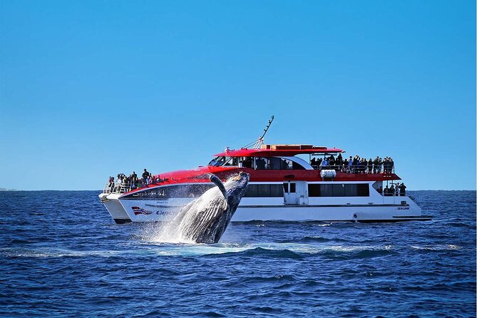 Private Catamaran Hire on Sydney Harbour - Who will enjoy this charter most