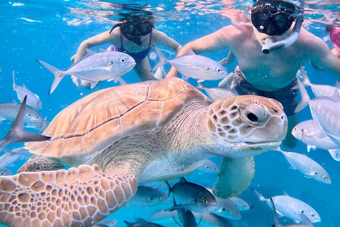Private catamaran sail & snorkel - Choosing Between Sail and Speed