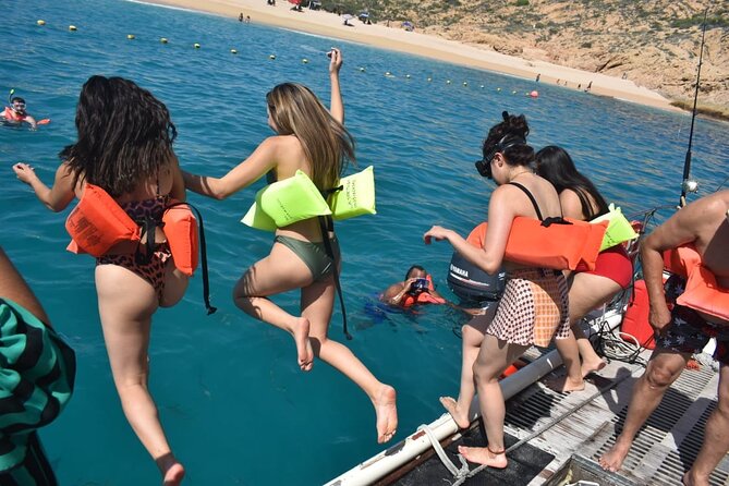 Private Catamaran Snorkeling Cruise in Los Cabos - Sea lions, whales, dolphins, and watchful crew