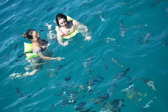 Private Catamaran Snorkeling Cruise in Los Cabos - Who will enjoy this catamaran most