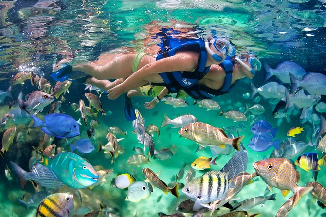 Private Catamaran Snorkeling Family Adventure - How the three hours are best understood