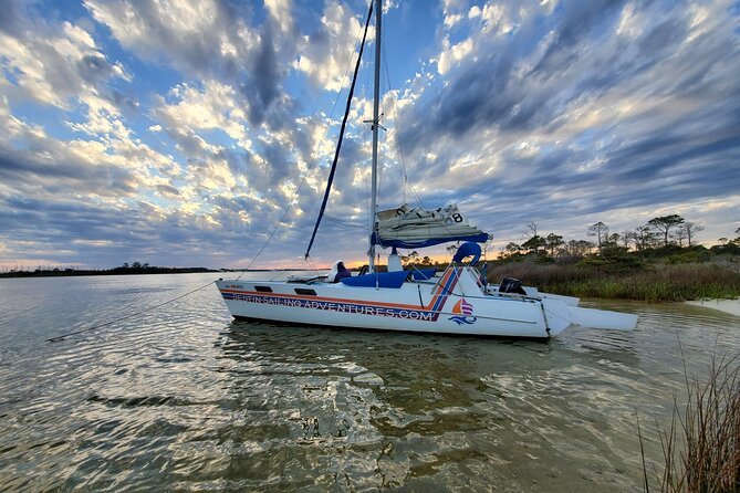 Private Catamaran Sunset Cruise with Dolphin watching - Watching for dolphins in protected bay water