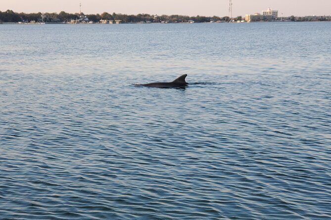 Private Catamaran Sunset Cruise with Dolphin watching - What Captain Kip and Elizabeth add