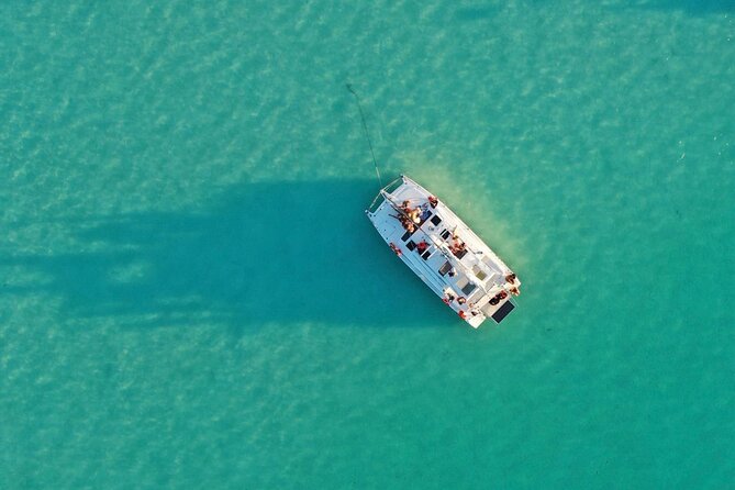 Private Catamaran Tour - Stromatolites are the lagoon’s unusual living feature