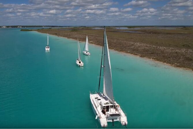 Private Catamaran Tour - Snacks, guacamole, and drinks keep the afternoon easy
