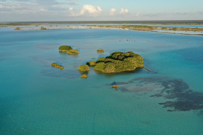 Private Catamaran Tour - Isla de los Pájaros brings a quiet finish