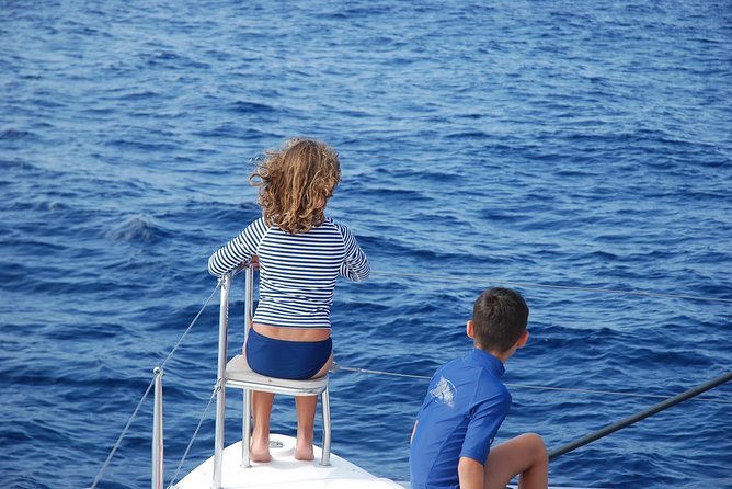 Private Charter On Our Luxury Catamaran - Watching Whales and Dolphins Off Tenerife