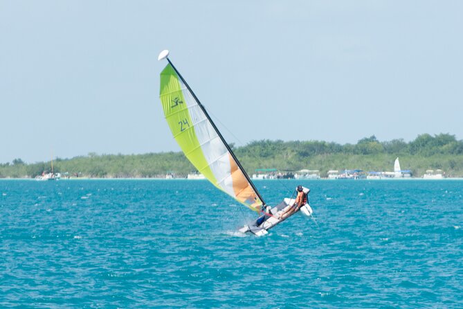 Private Eco-Tour on a Recreational Catamaran with Kayaks Included - Why the quiet ride matters