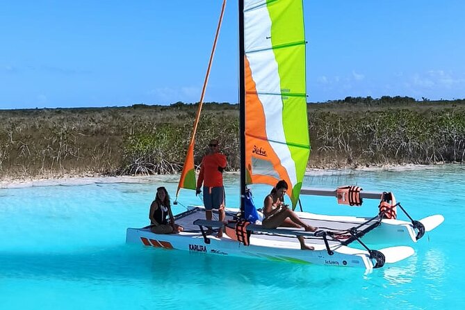 Private Eco-Tour on a Recreational Catamaran with Kayaks Included - What the $199 group price really buys