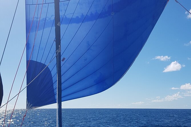 Private Full-Day Catamaran Sailing Charter in St Maarten - Creole Rock and St Maarten’s main snorkeling stop