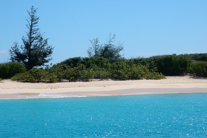 Private Full-Day Catamaran Sailing Charter in St Maarten - Tintamarre Island, turtles, beach time, and lunch