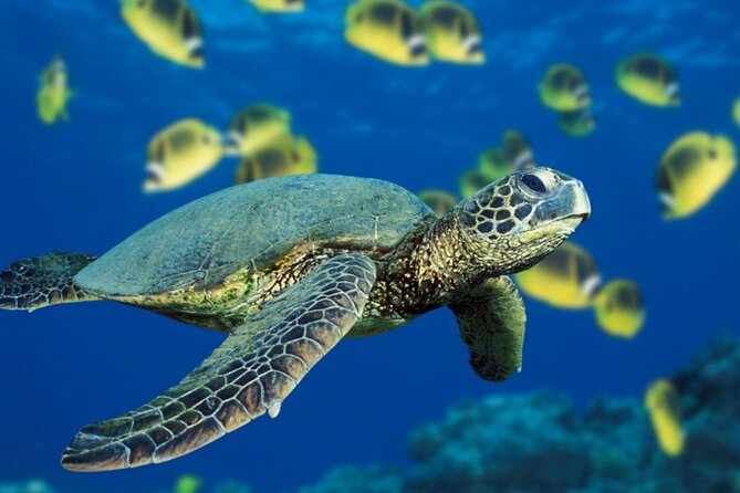 Private Full-Day Catamaran Sailing Charter in St Maarten - La Samanna, a scenic early stop