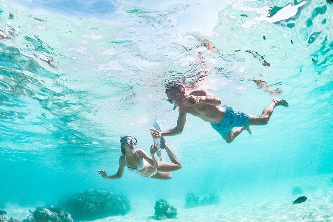 PRIVATE Full Day Tour : Moorea Snorkeling & Sailing on a Catamaran named Taboo - The value of $1,565.99 for up to four